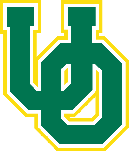 Oregon Ducks 1994-1998 Primary Logo iron on transfers for T-shirts